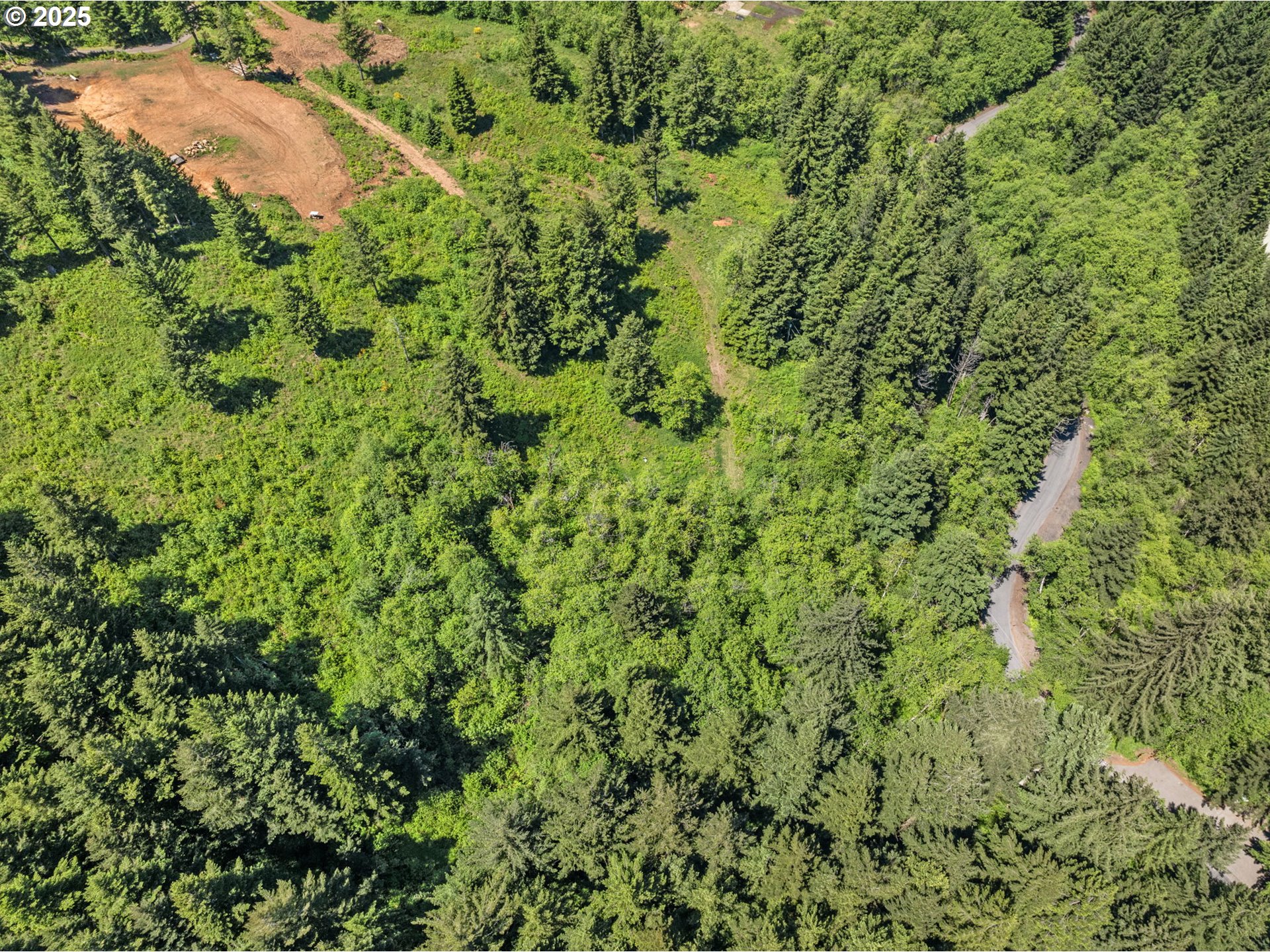 0 Northeast 298th Court Camas, WA 98607 - Photo 5 of 15