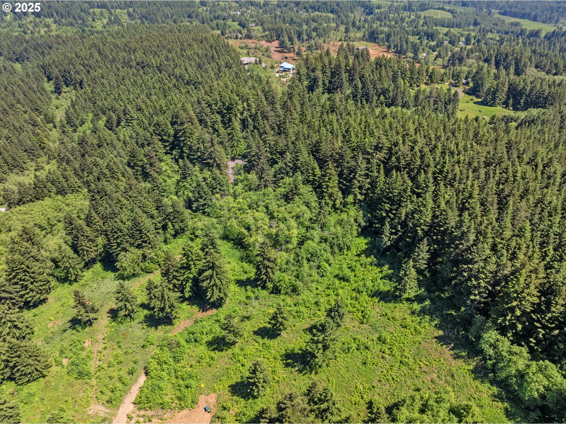 0 Northeast 298th Court Camas, WA 98607 - Photo 7 of 15