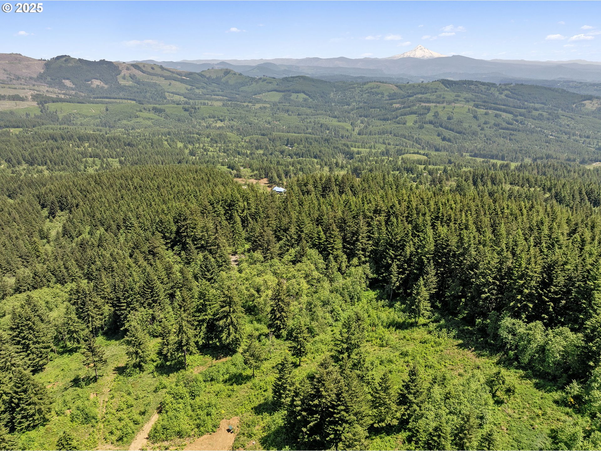 0 Northeast 298th Court Camas, WA 98607 - Photo 8 of 15