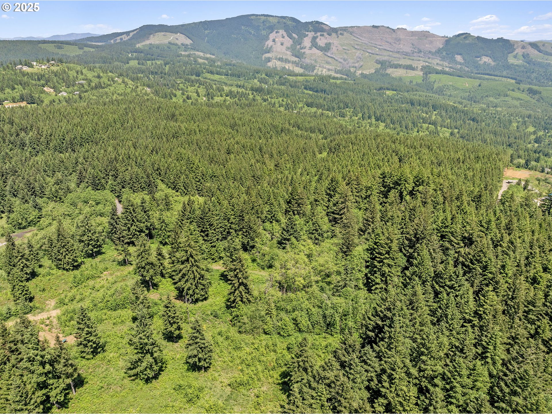 0 Northeast 298th Court Camas, WA 98607 - Photo 10 of 15