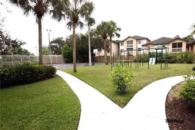 a view of a park with a fountain and a palm tree