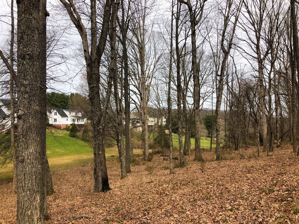 Lot 113 Clifton Ridge Road, Unit 113 Abingdon, VA 24211 - Photo 4 of 8 Gallery Image 4