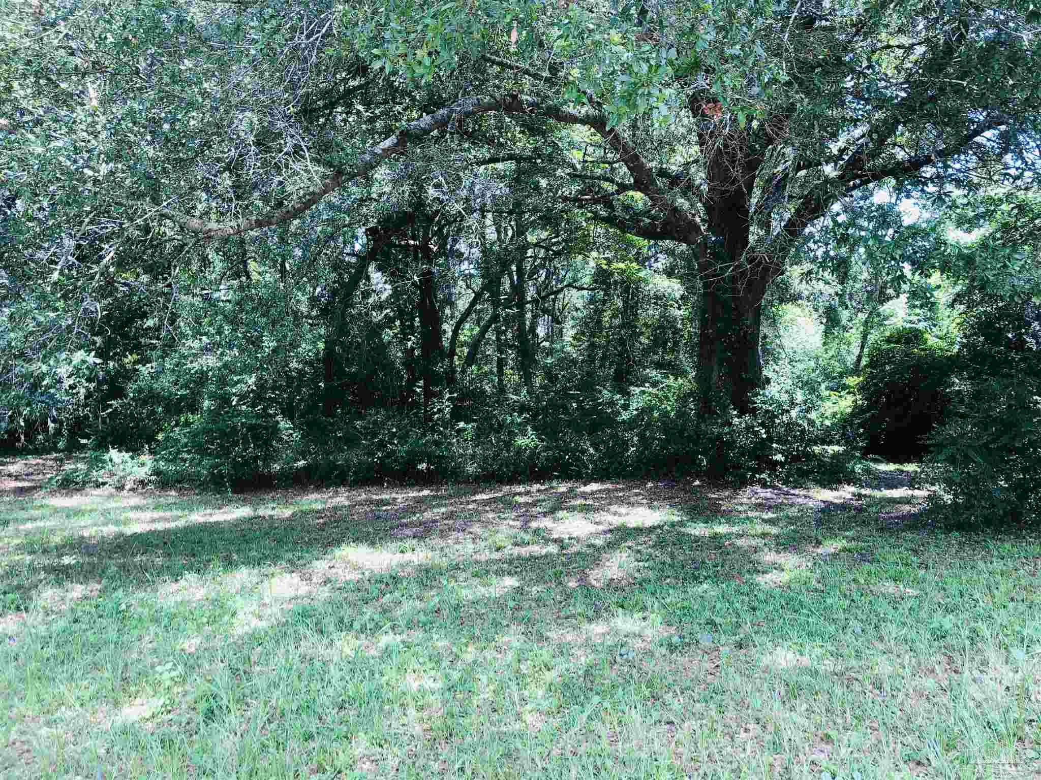 Pinestead Road Pensacola, FL 32505 - Photo 3 of 6