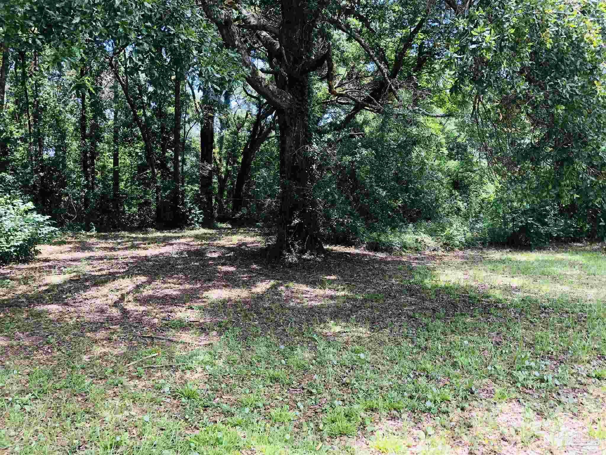 Pinestead Road Pensacola, FL 32505 - Photo 5 of 6