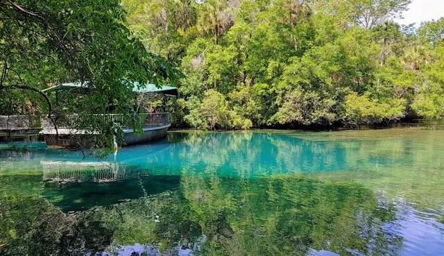 a view of lake with green space