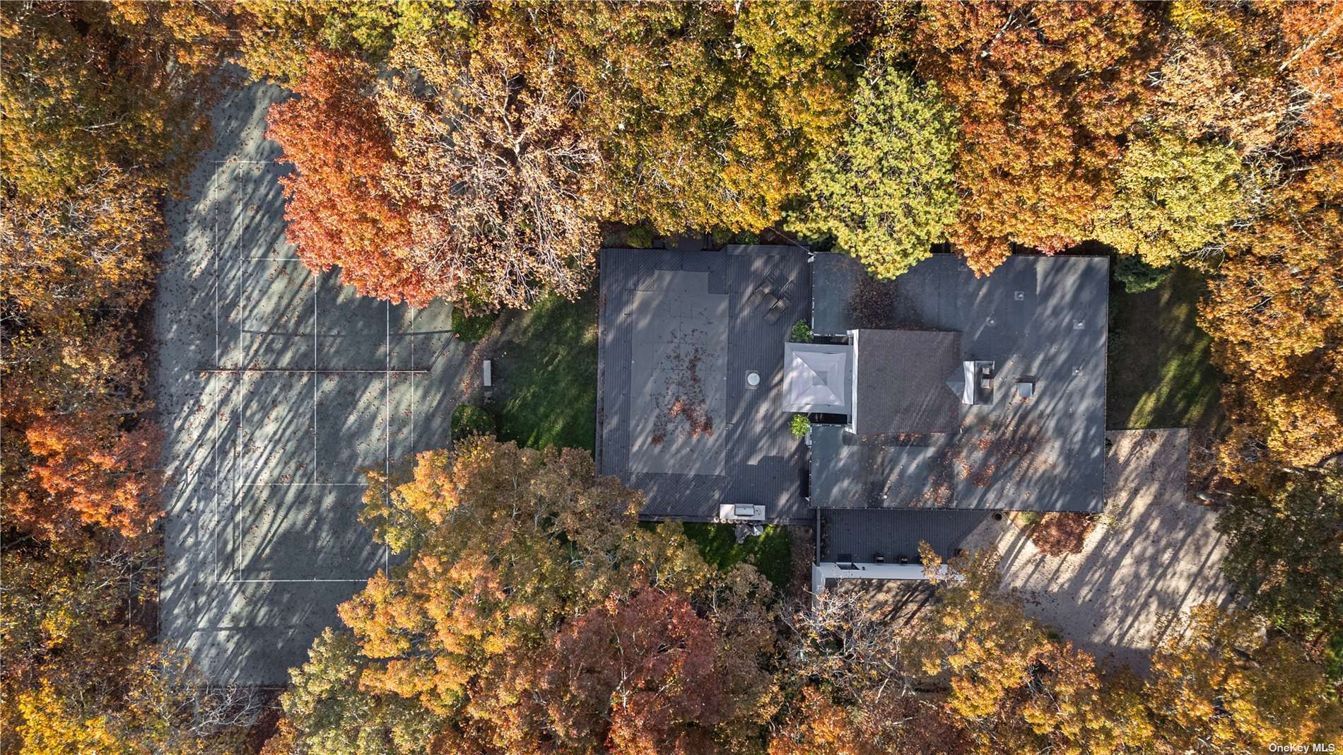 25 Westhampton, undefined 00000 - Photo 20 of 27 a view of a wooden wall with large trees