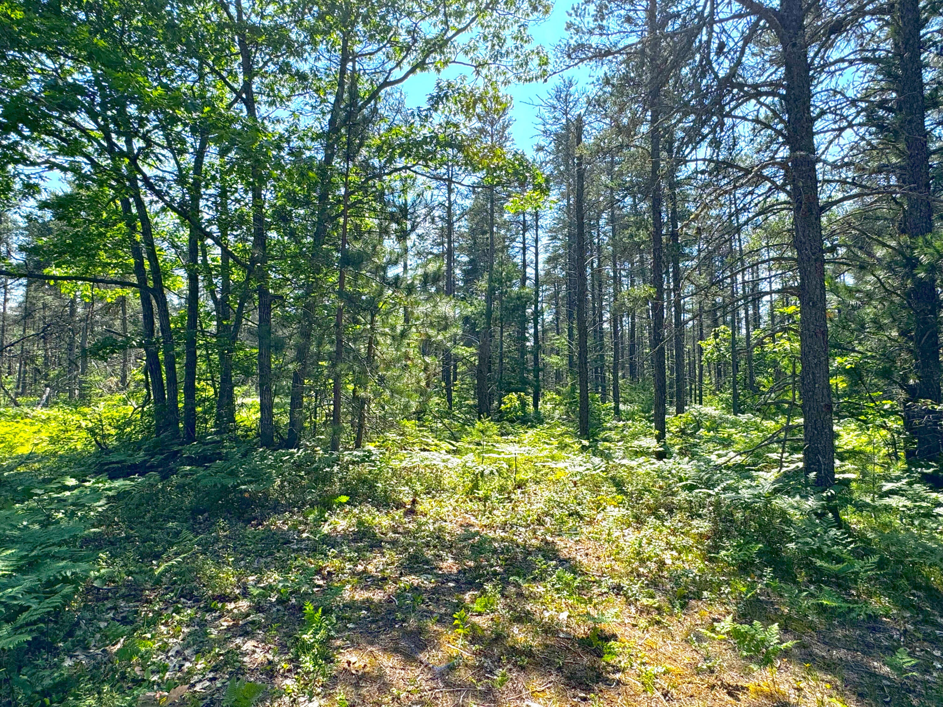 13907 North Whitefish Point Road Paradise, MI 49768 - Photo 3 of 15 Gallery Image 3