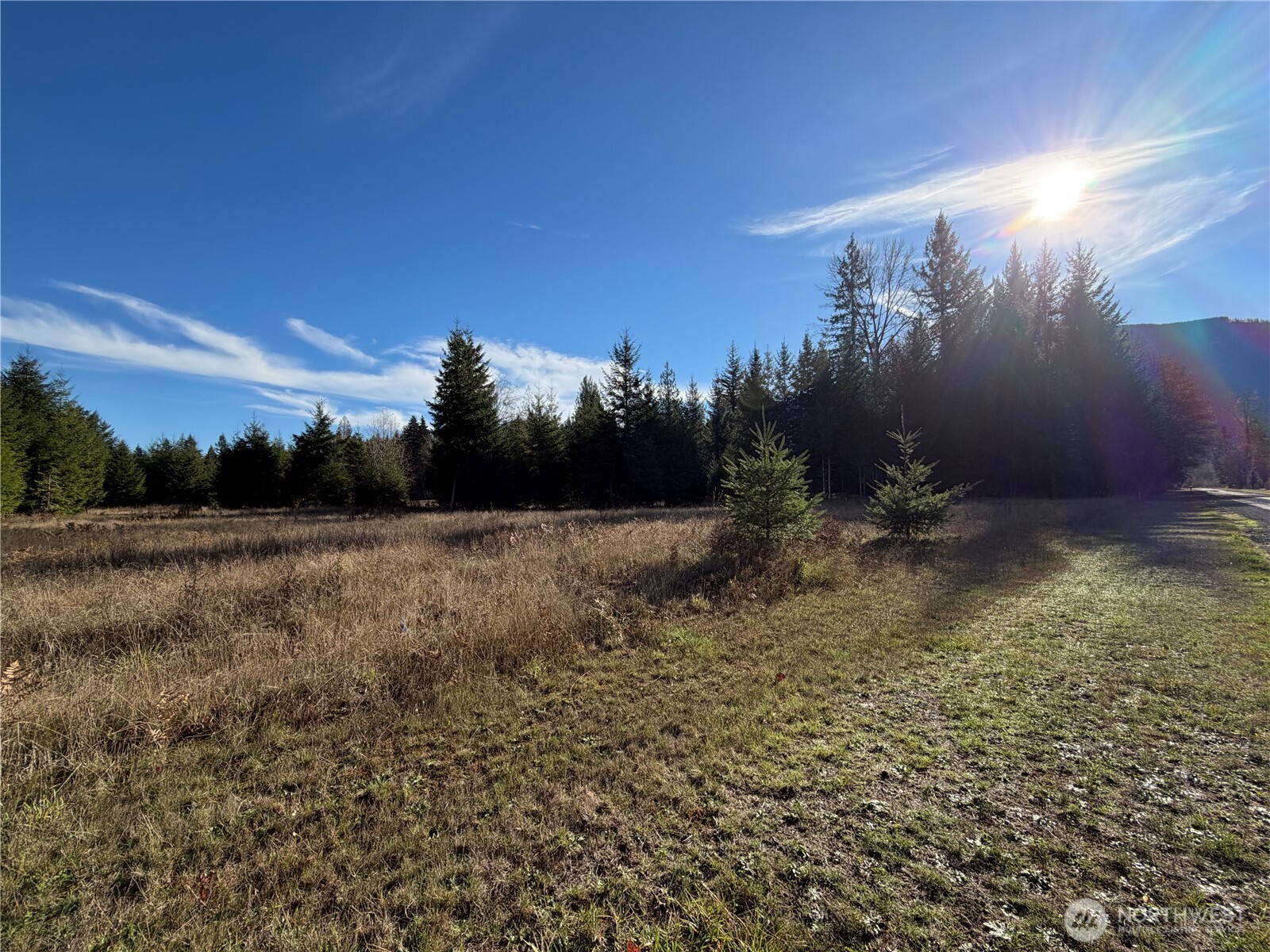 138 Shelton Road Randle, WA 98377 - Photo 3 of 7 a view of outdoor space and yard