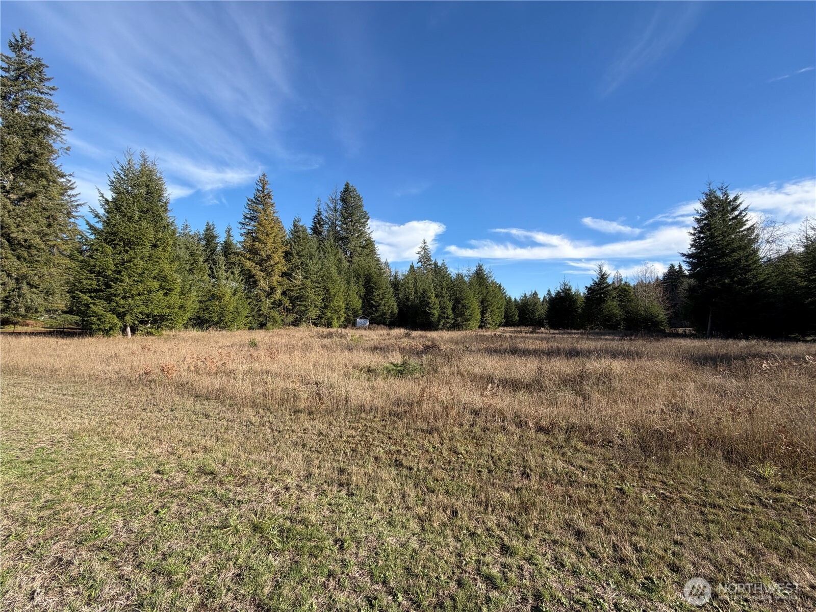 138 Shelton Road Randle, WA 98377 - Photo 6 of 7 a view of an outdoor space