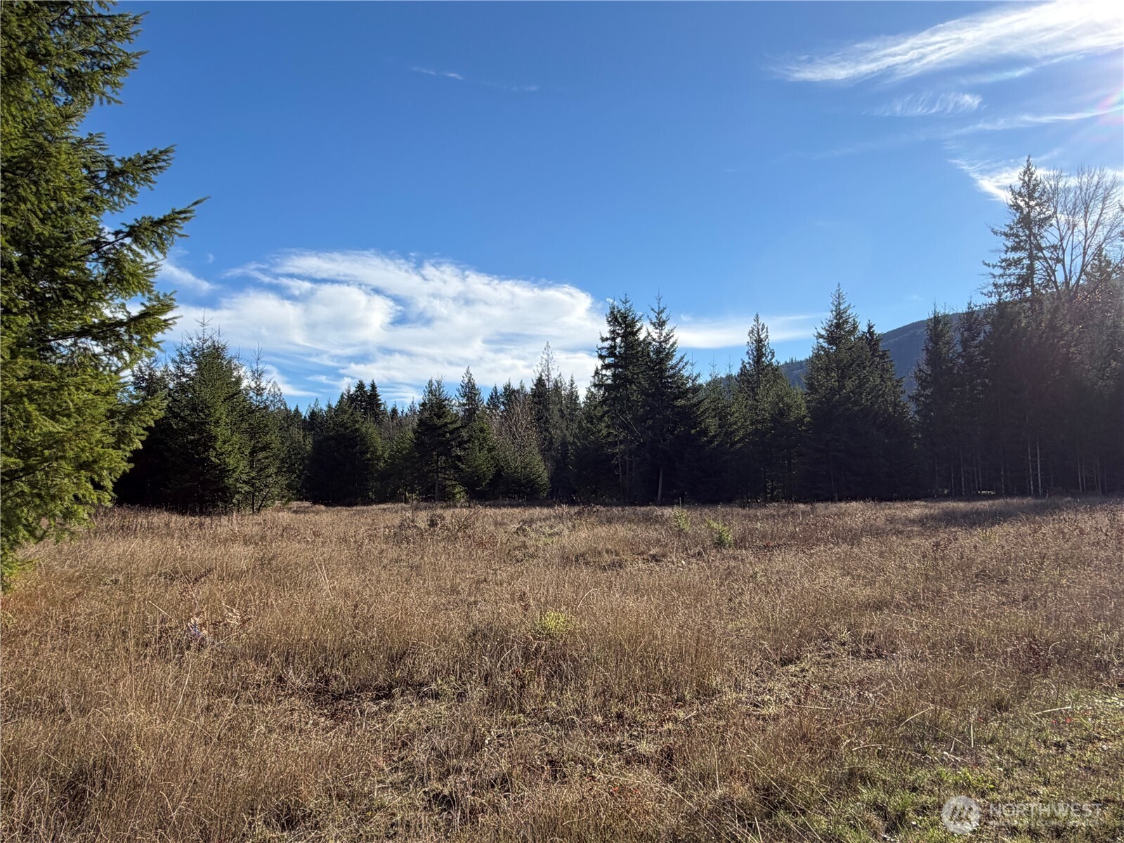 138 Shelton Road Randle, WA 98377 - Photo 7 of 7 a view of dirt field with trees in background