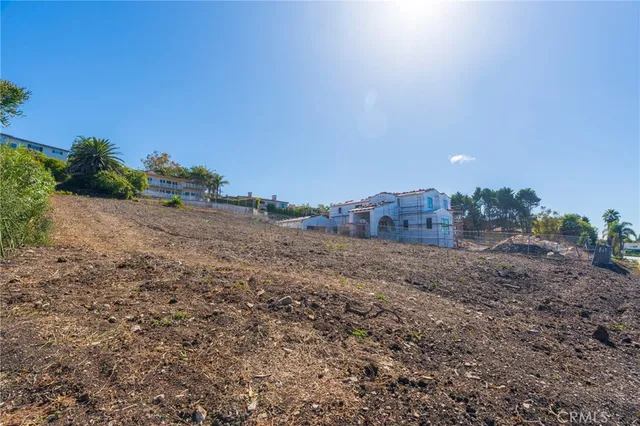 a view of a dry yard with trees