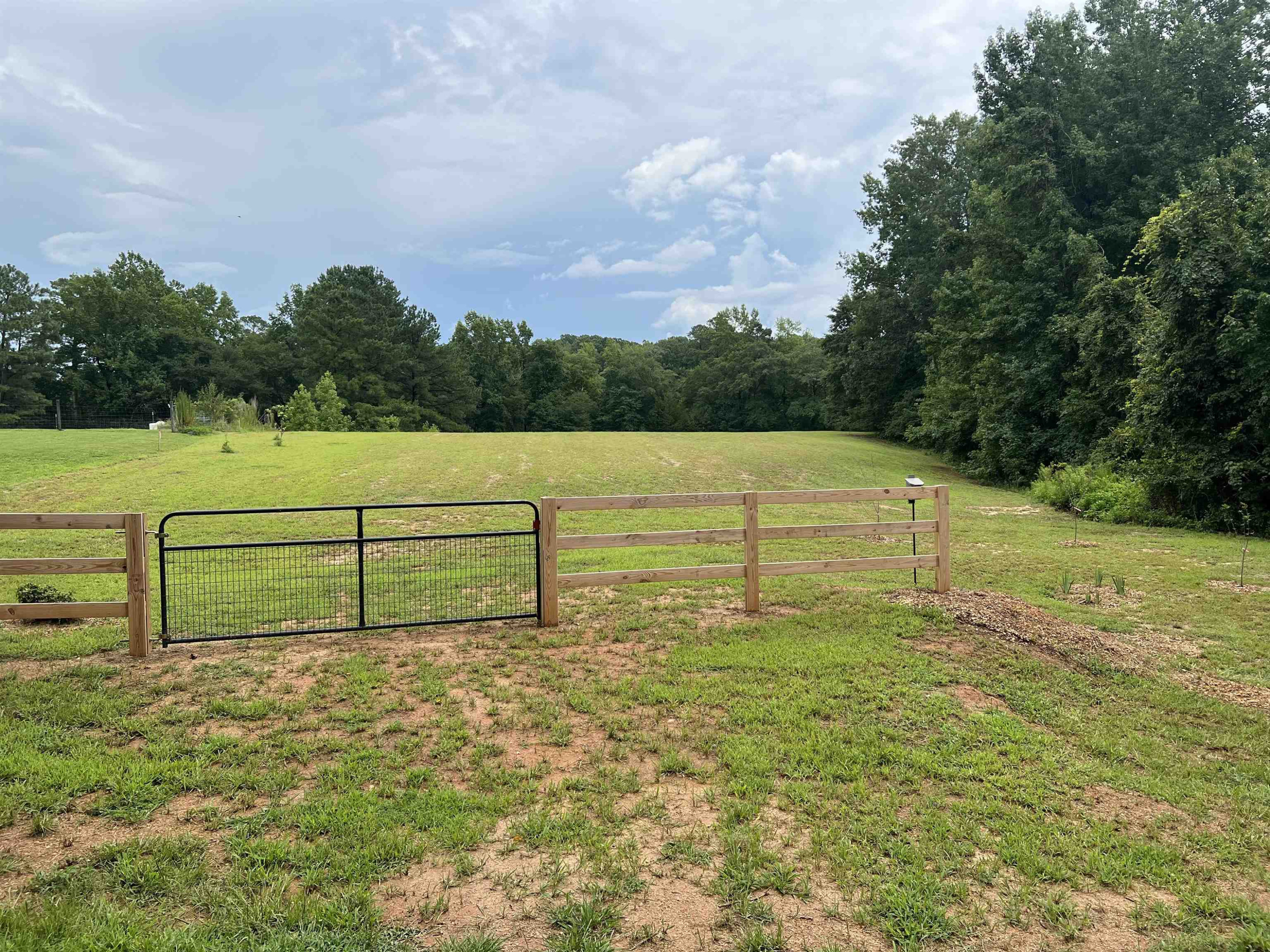 4429 Mitchell Mill Road Wake Forest, NC 27587 - Photo 24 of 36 Photo 24