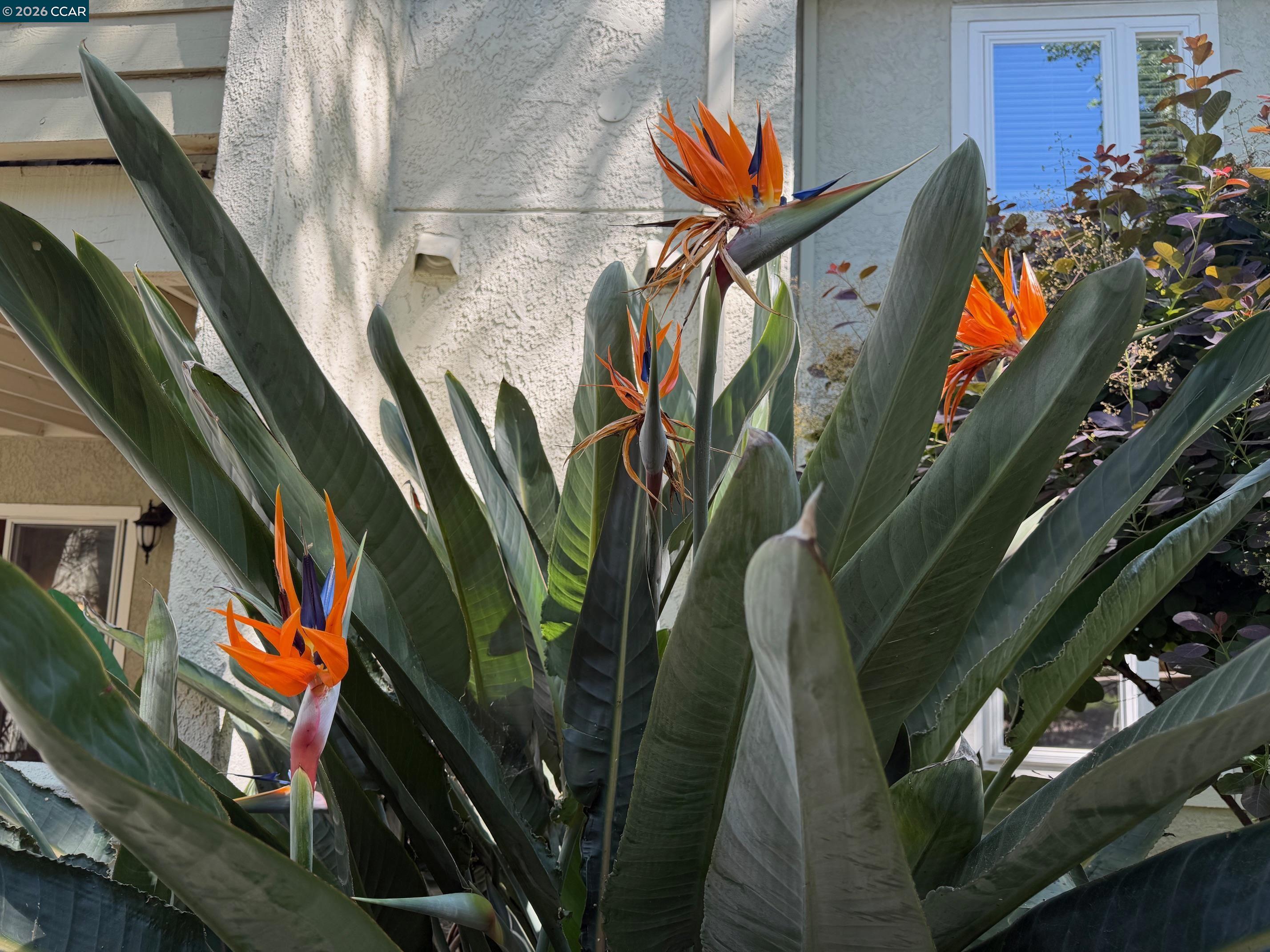 1505 Kirker Pass Road, Unit 119 Concord, CA 94521 - Photo 47 of 47