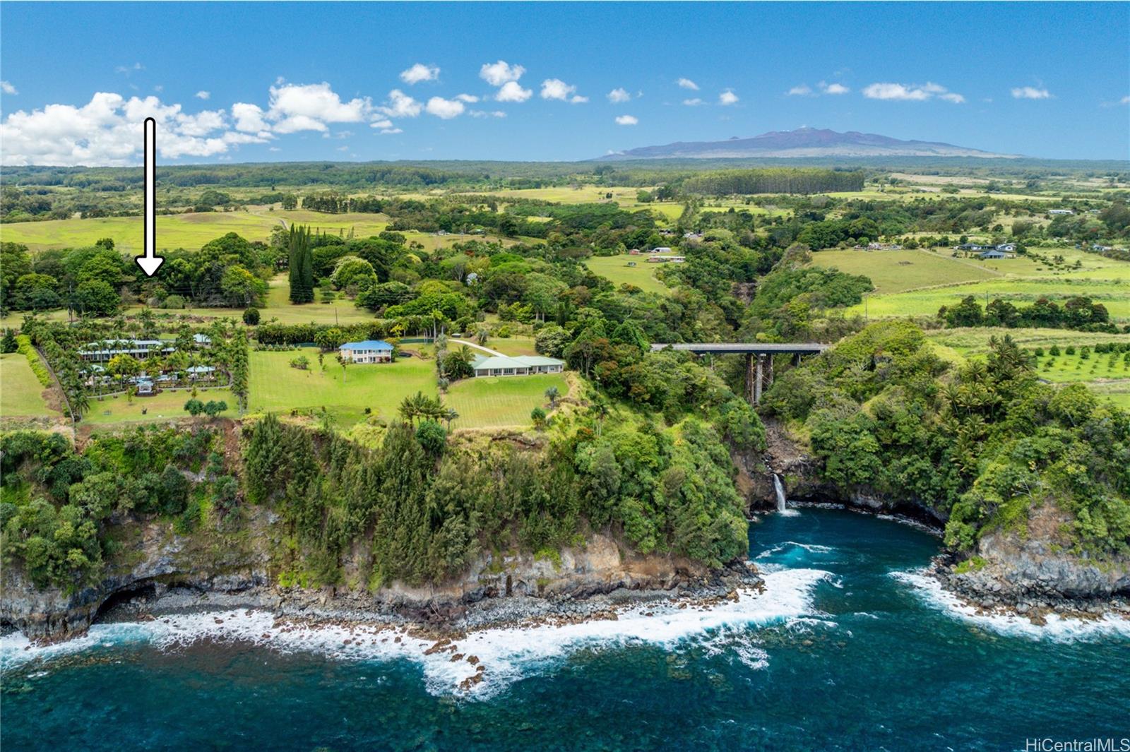 31-212 Hawaii Belt Road Hakalau, HI 96710 - Photo 24 of 25 Aerial view of this one-of-a-kind property, showcasing a nearby waterfall