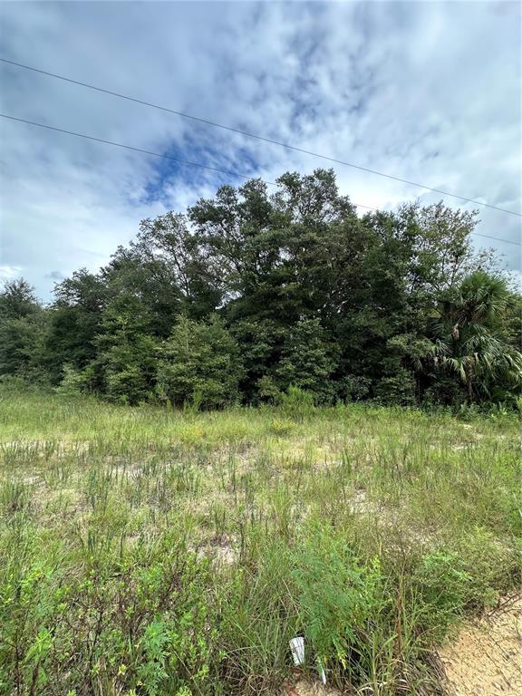 0 Kin Street Interlachen, FL 32148 - Photo 11 of 11 a view of a yard