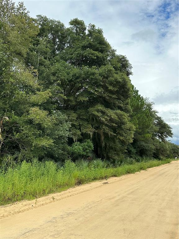 0 Kin Street Interlachen, FL 32148 - Photo 4 of 11 a view of a garden