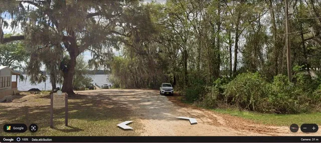 a view of a yard with plants and trees