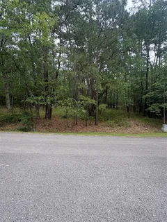 $28,000 | 78 Wentworth Lane, Coldspring, TX 77331