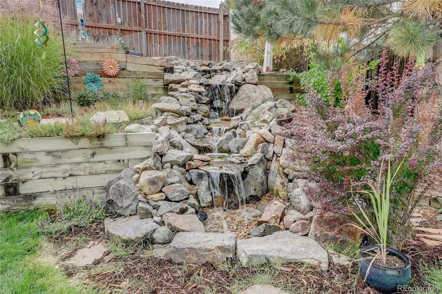a view of a yard with plants