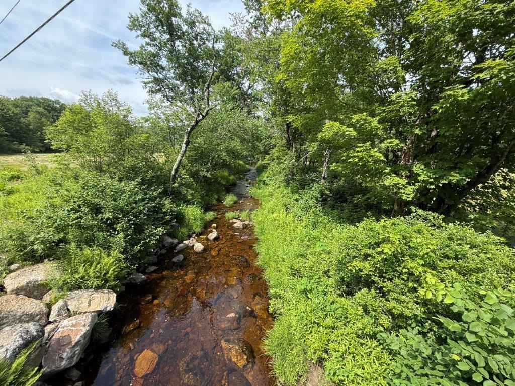 446 Walker Brook Road Danbury, NH 03230 - Photo 39 of 54