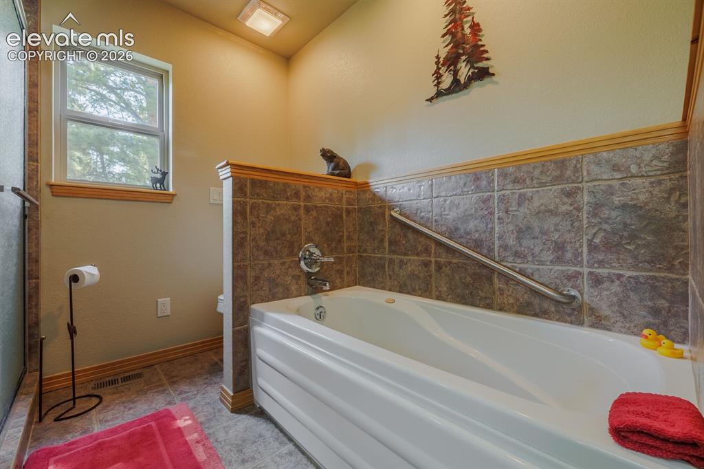 392 Aspen Village Road Divide, CO 80814 - Photo 25 of 43