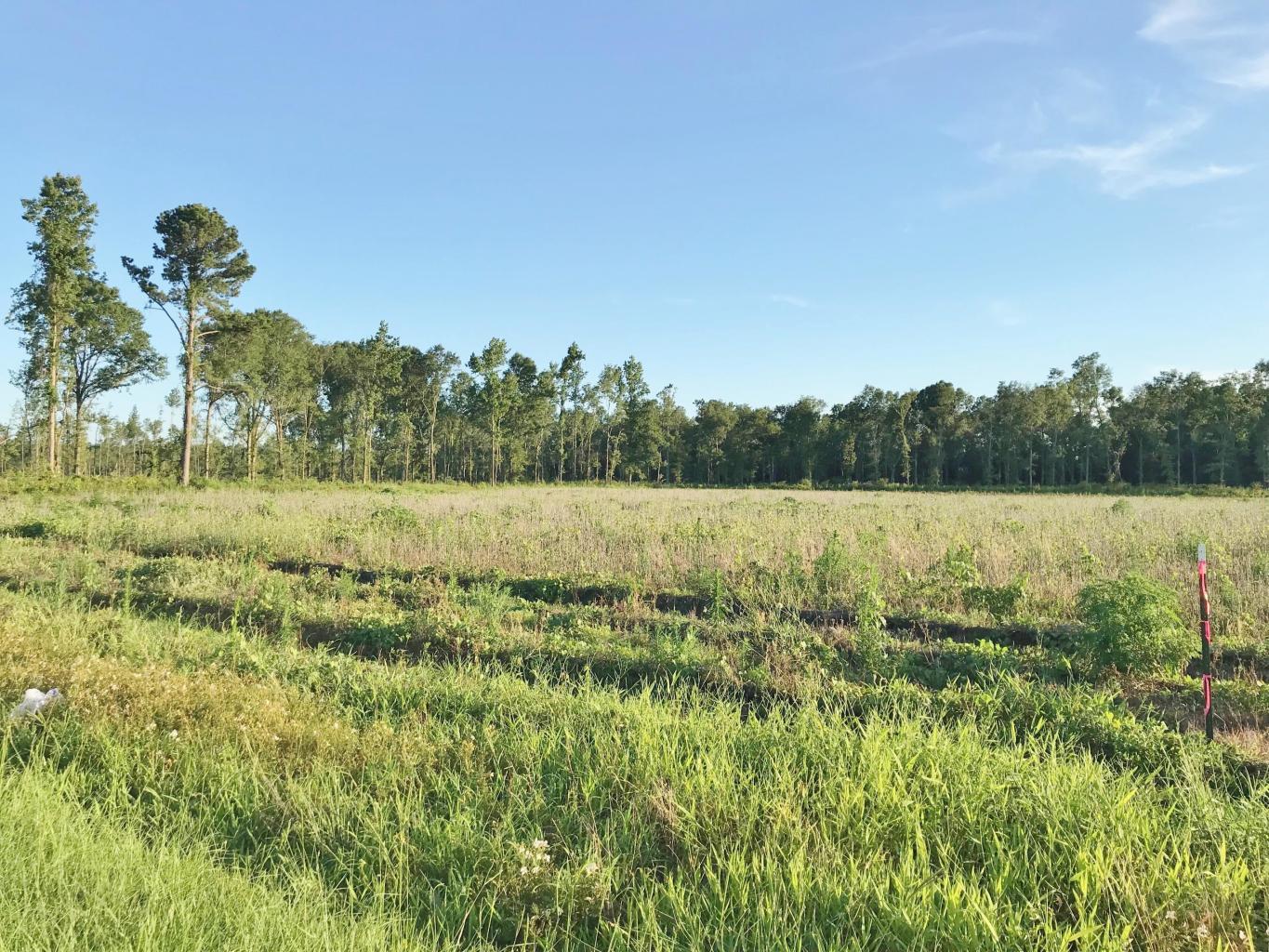 Lot 9 Jet Ridge Road Holly Hill, SC 29059 - Photo 1 of 3 20190701000929249295000000-o