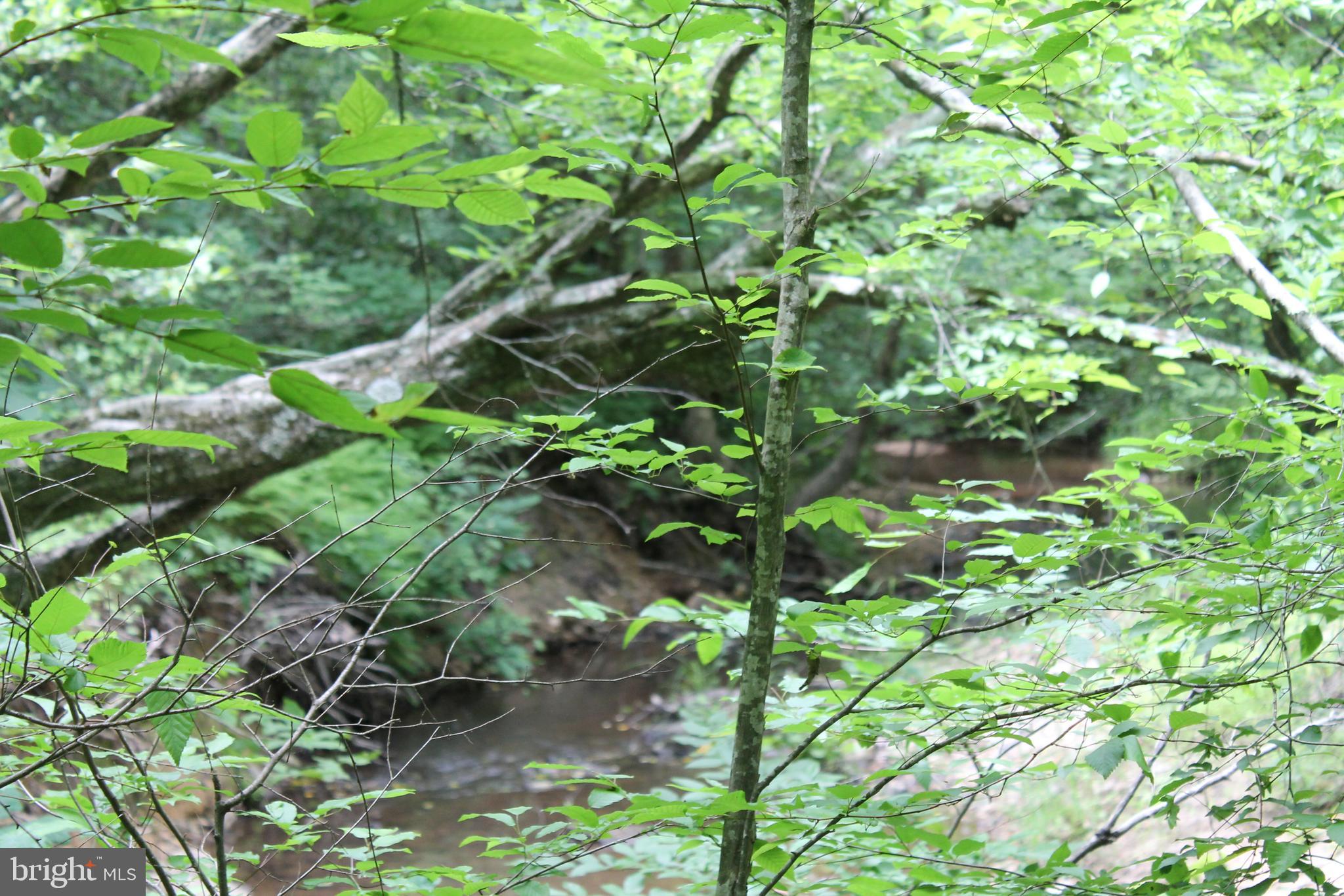 Horseshoe Bend Road Ruther Glen, VA 22546 - Photo 15 of 18