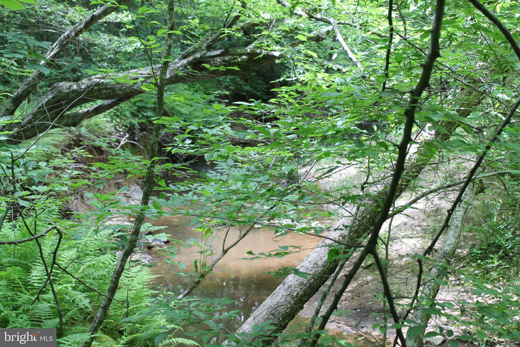 Horseshoe Bend Road Ruther Glen, VA 22546 - Photo 3 of 18 stream borders one side of the property
