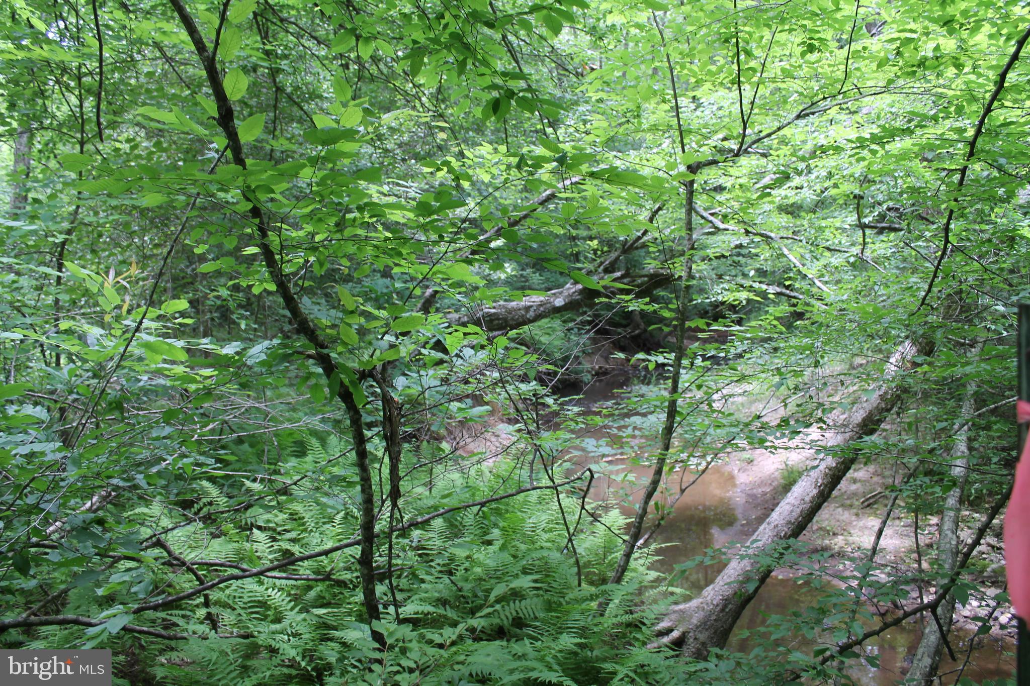 Horseshoe Bend Road Ruther Glen, VA 22546 - Photo 8 of 18