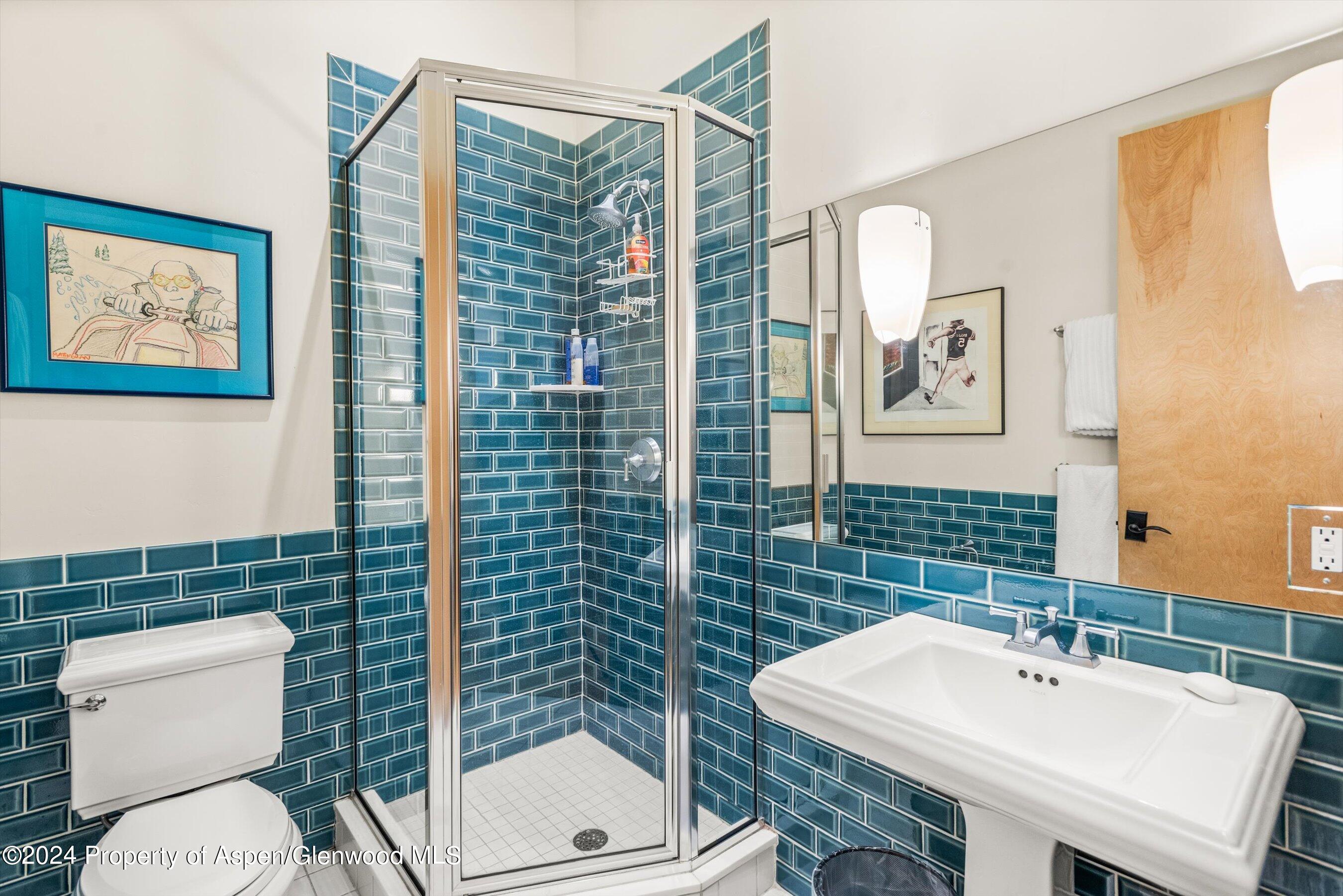 308 Park Avenue Aspen, CO 81611 - Photo 17 of 26 a bathroom with a toilet a sink and a mirror