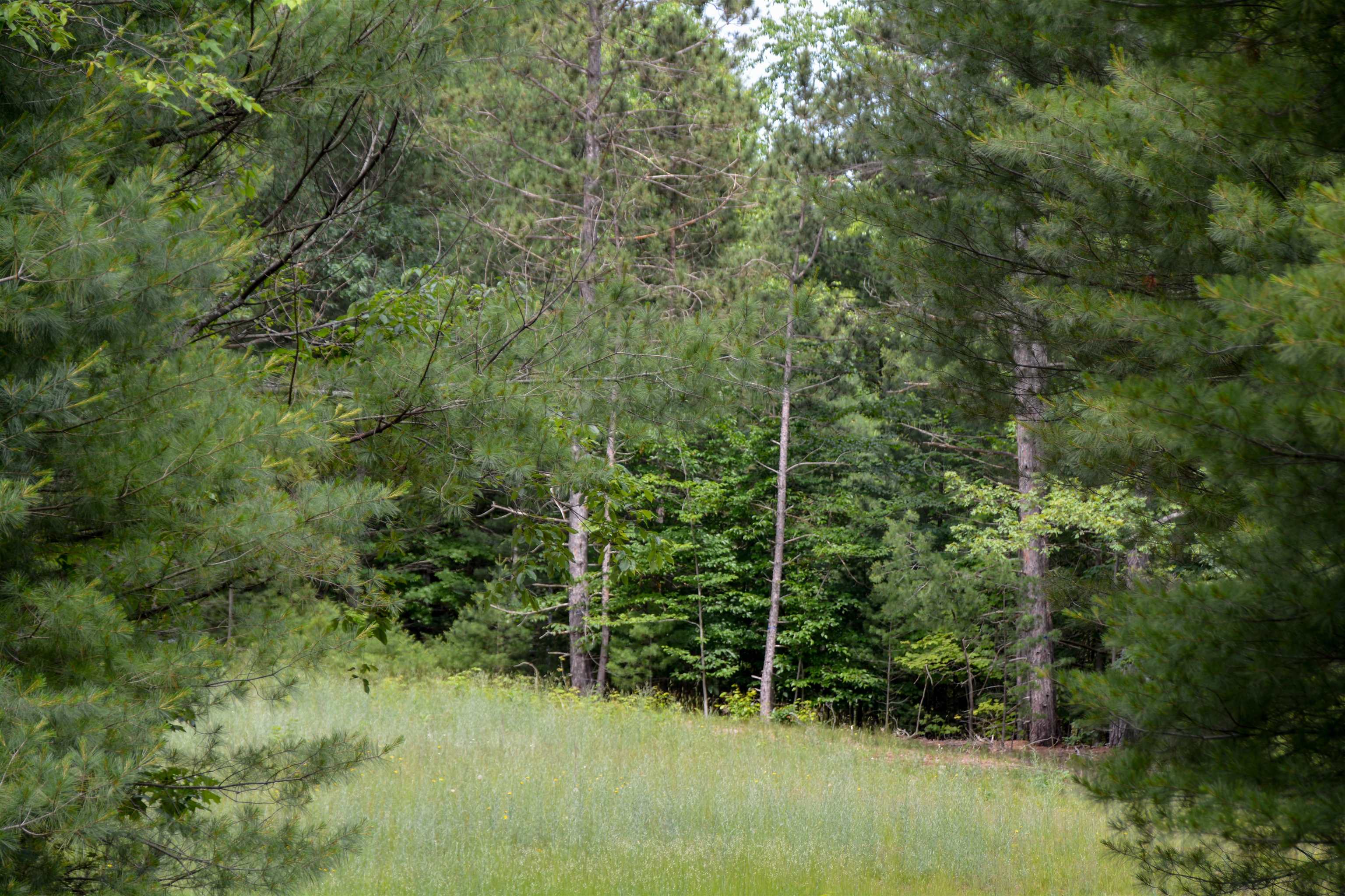 5502 Paradise Ranch Road Kingsley, MI 49649 - Photo 10 of 16 1947326-dcce55eb-95ce-4980-a8e8-364a71bfcc1a.JPG