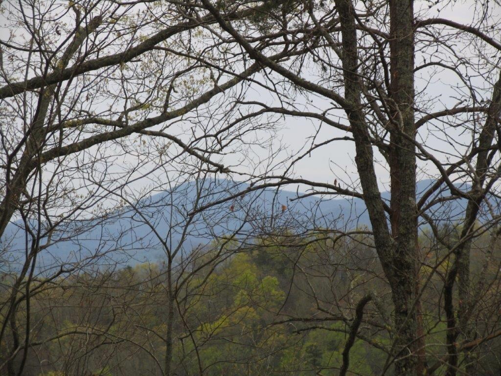 0 Burnt Ridge Road, Unit TR1 Blairsville, GA 30512 - Photo 1 of 1 Gallery Image 1