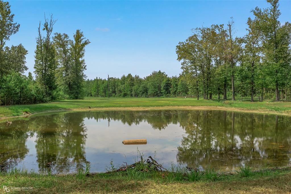 495 John Gloster, LA 71030 - Photo 10 of 40 a view of a lake with a yard and large trees