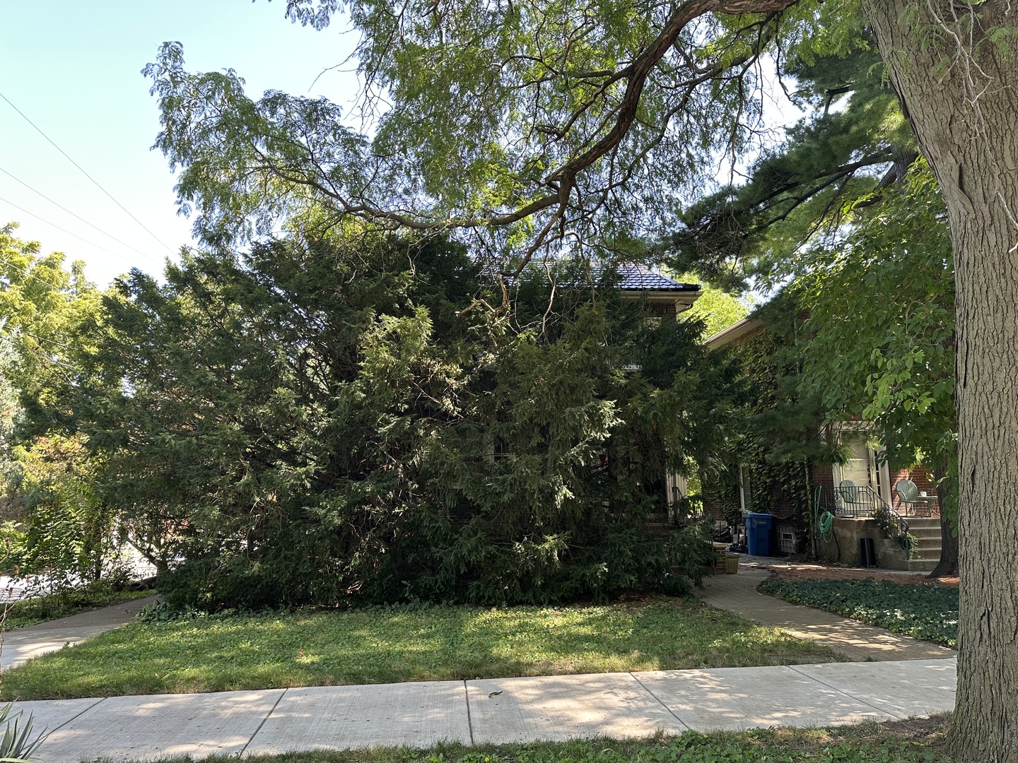 9701 South Prospect Avenue Chicago, IL 60643 - Photo 2 of 6 a view of a yard with plants and large trees