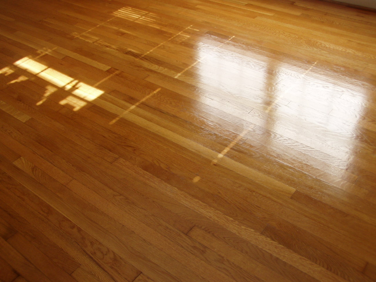 430 Azalea Road Daleville, VA 24083 - Photo 14 of 40 Refinished hardwood floors