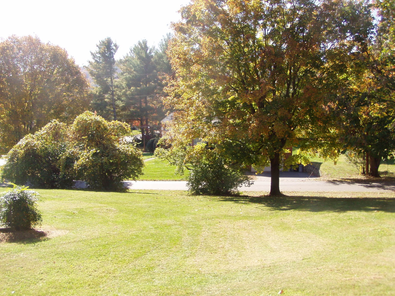 430 Azalea Road Daleville, VA 24083 - Photo 40 of 40 Side yard