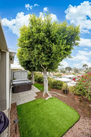 a view of a backyard with large tree