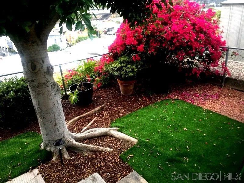 1815 Sweetwater Road, Unit SPC 121 Spring Valley, CA 91977 - Photo 37 of 44 a backyard of a house with lots of green space