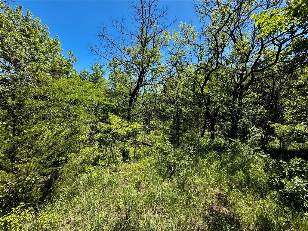 0 South Stanley Road Quenemo, KS 66528 - Photo 18 of 44