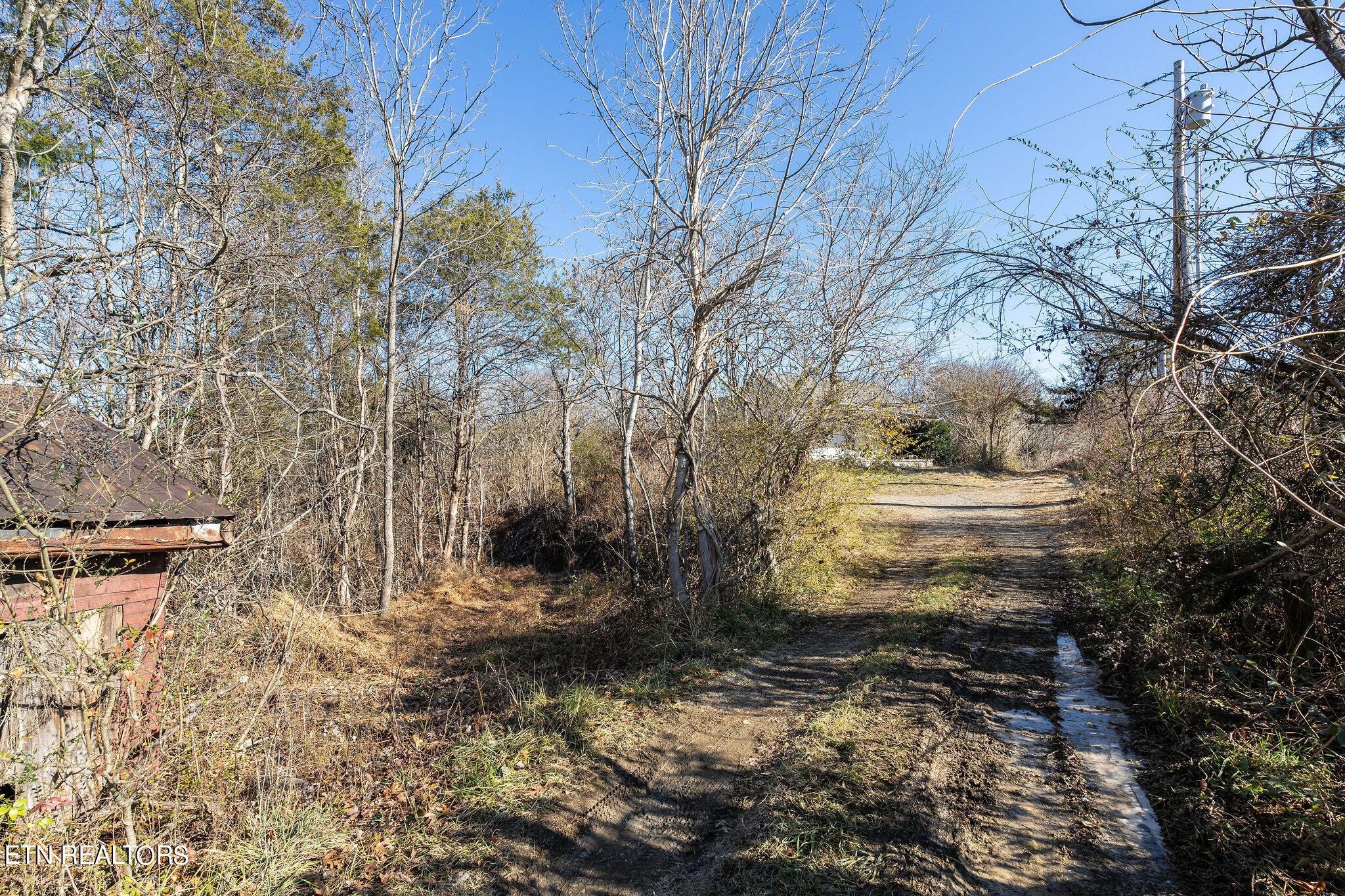 176 Moulton Road Fall Branch, TN 37656 - Photo 19 of 28 Gallery Image 19