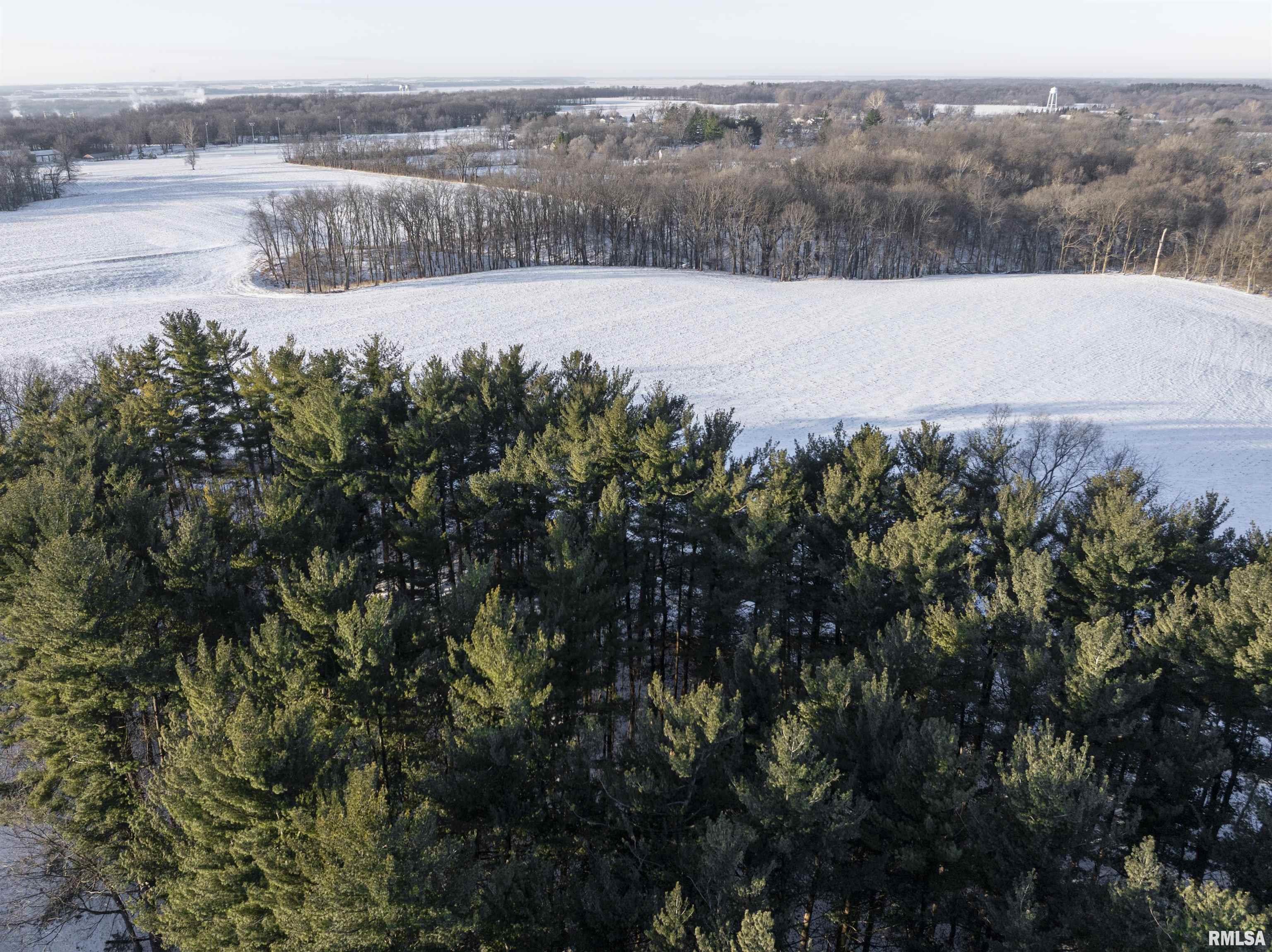 9011 South Powell Road Peoria, IL 61607 - Photo 13 of 34