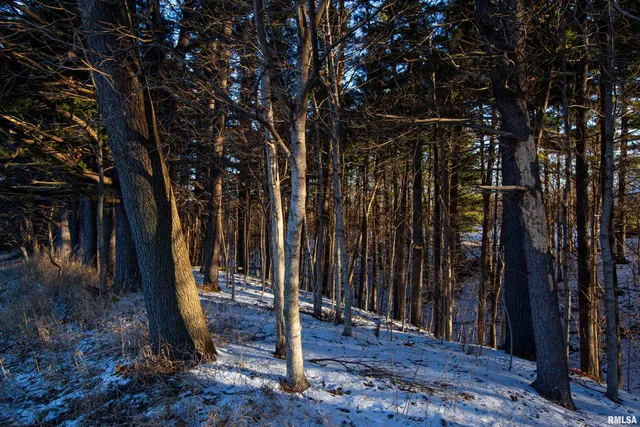 $770,000 | 9011 South Powell Road, Peoria, IL 61607