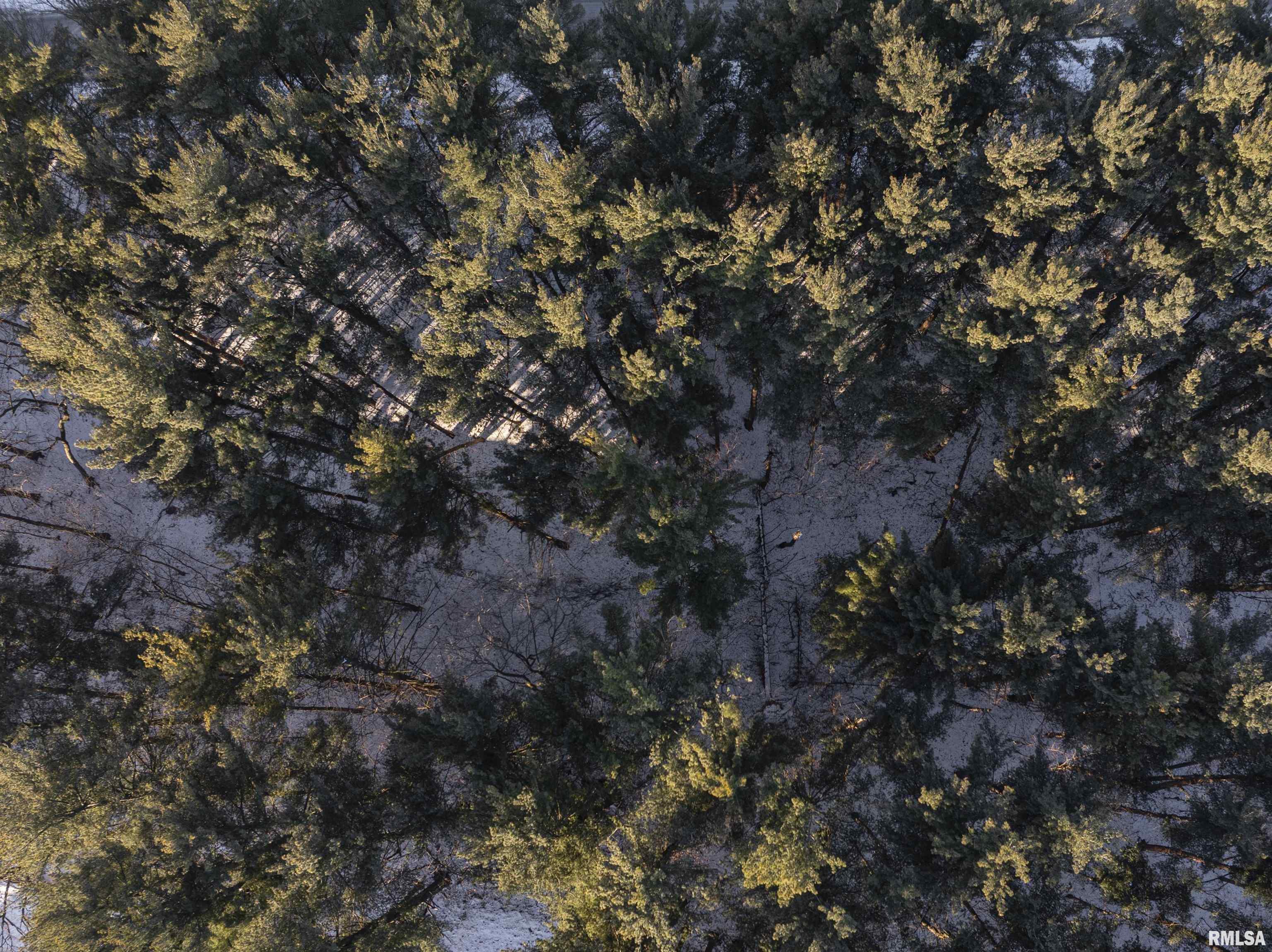 9011 South Powell Road Peoria, IL 61607 - Photo 15 of 34