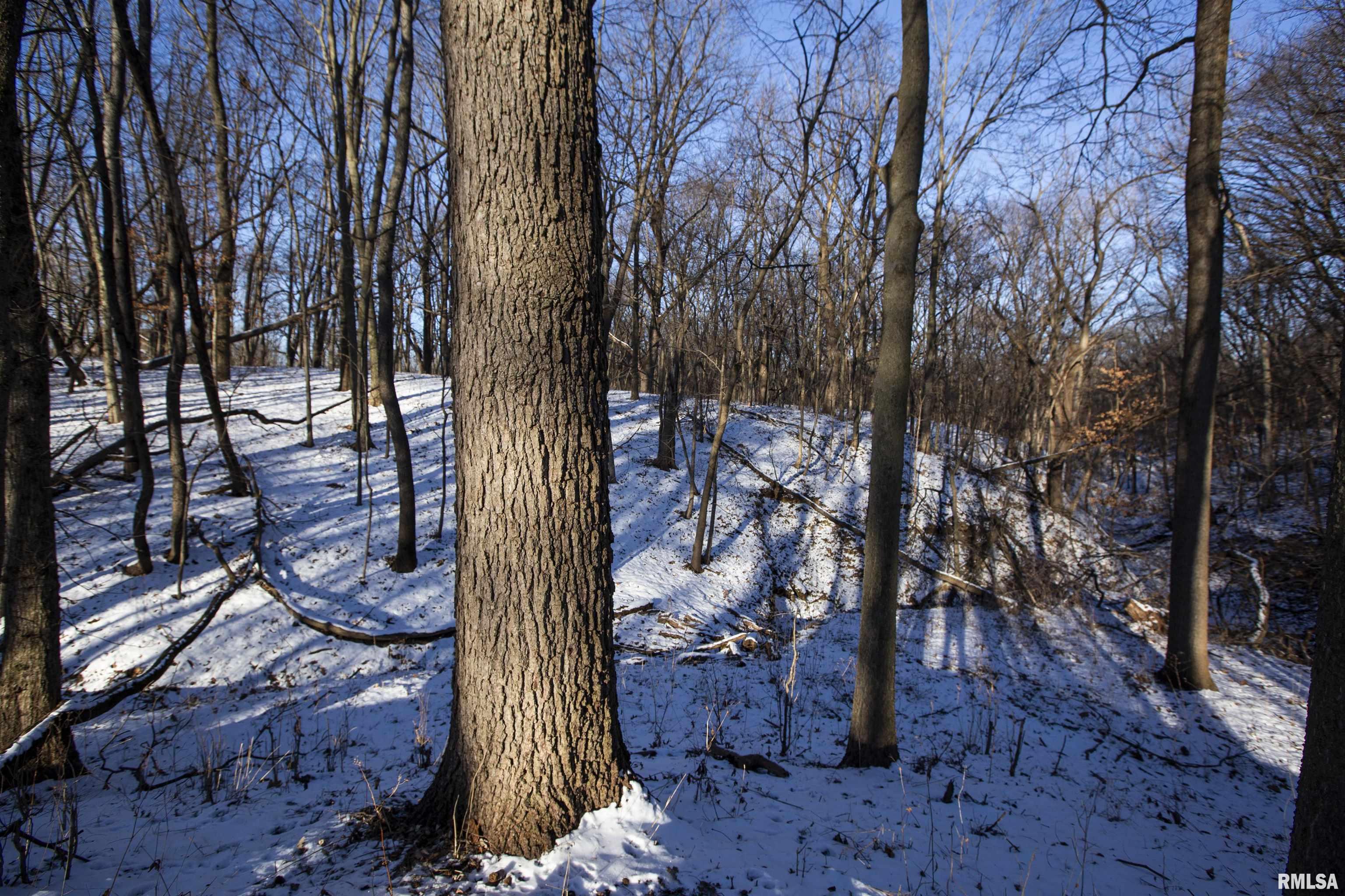 9011 South Powell Road Peoria, IL 61607 - Photo 16 of 34