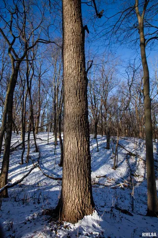 $770,000 | 9011 South Powell Road, Peoria, IL 61607