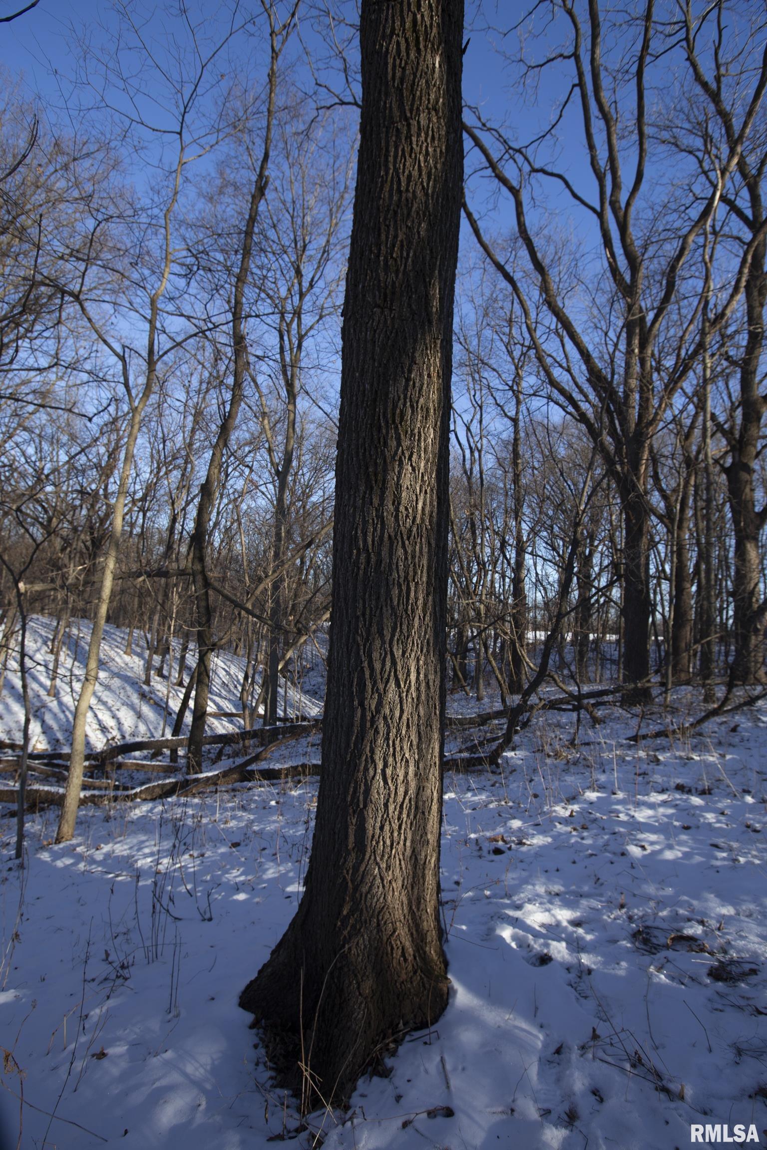 9011 South Powell Road Peoria, IL 61607 - Photo 18 of 34