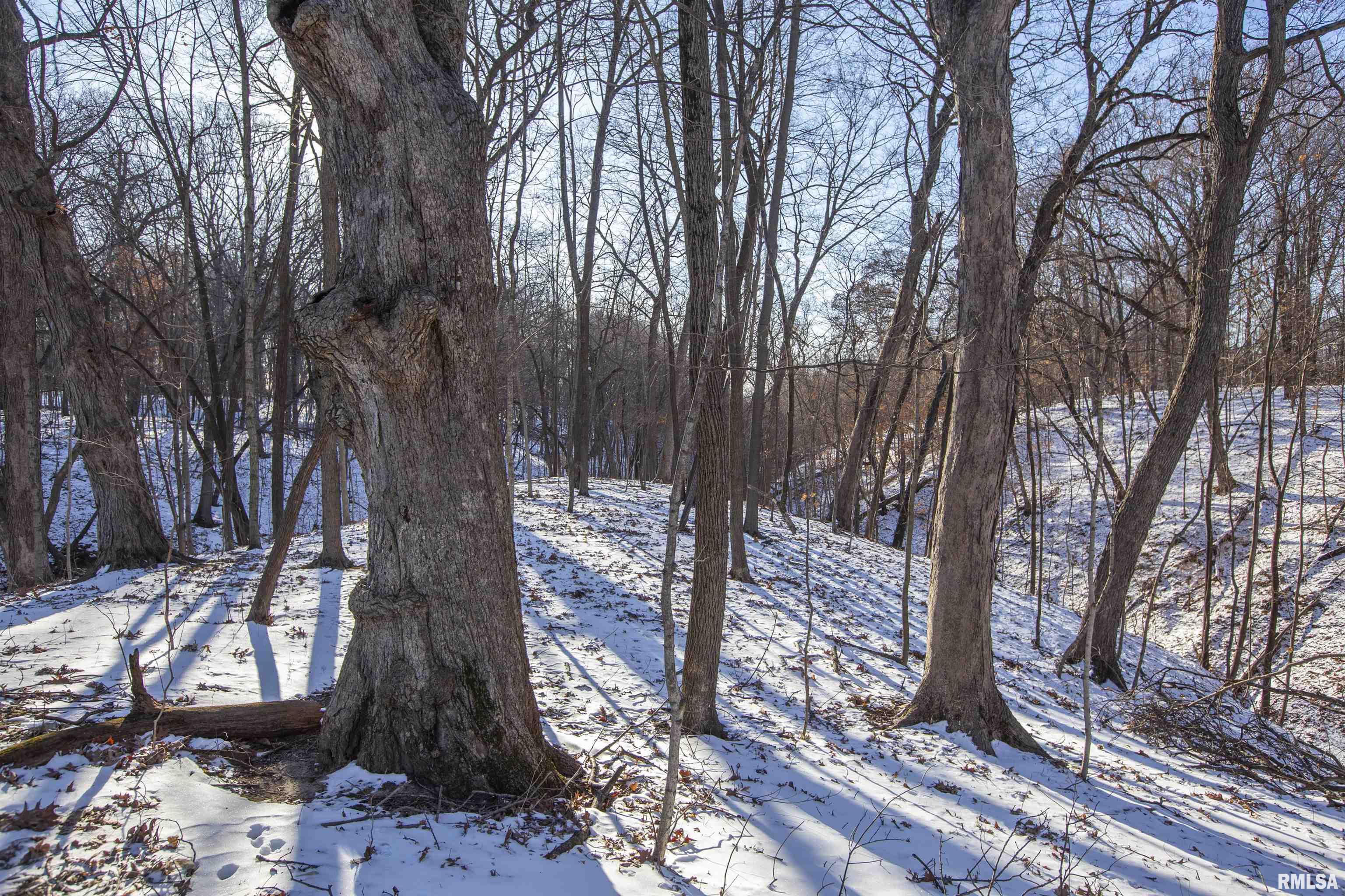 9011 South Powell Road Peoria, IL 61607 - Photo 19 of 34