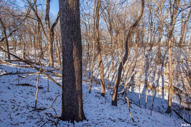 $770,000 | 9011 South Powell Road, Peoria, IL 61607