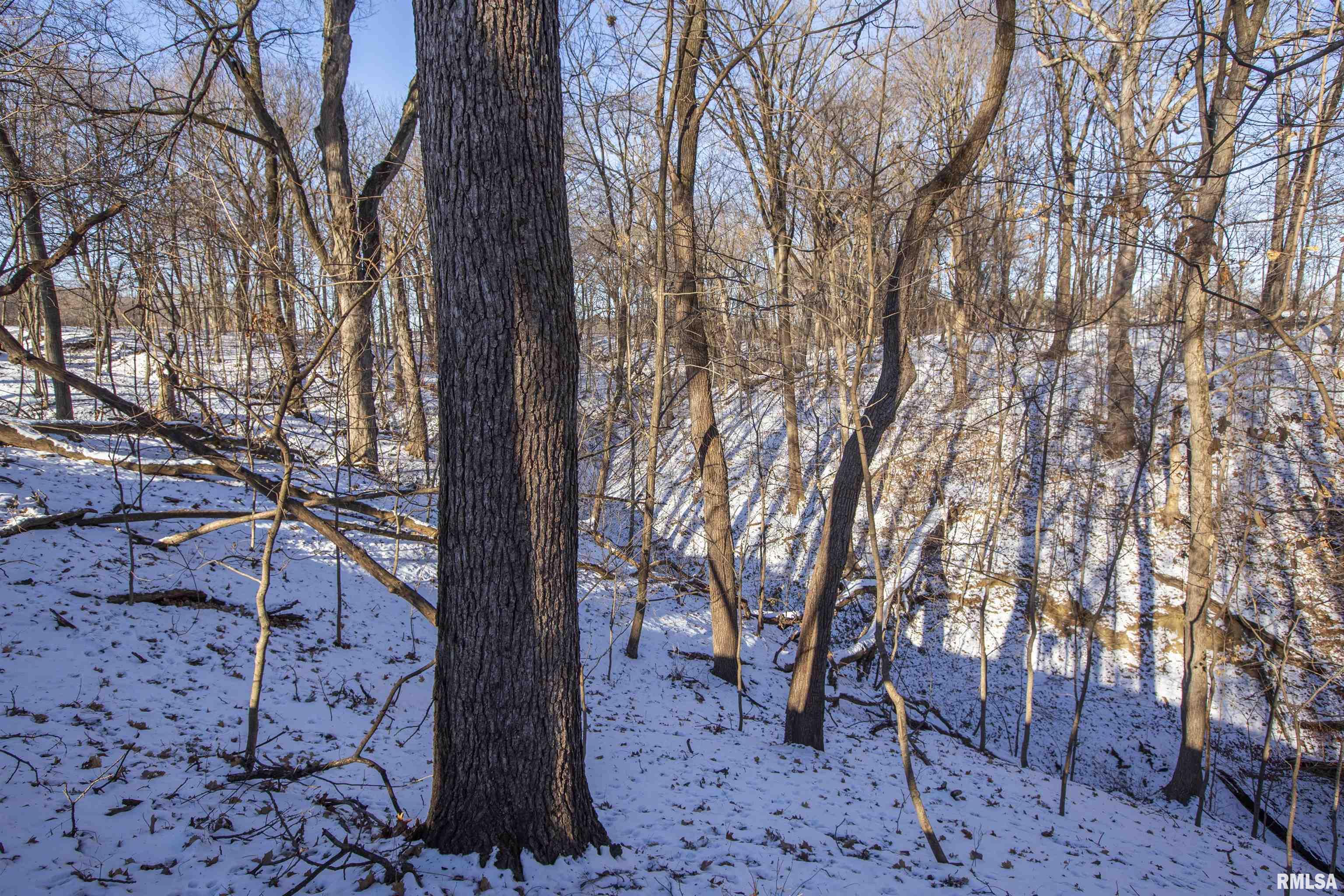 9011 South Powell Road Peoria, IL 61607 - Photo 20 of 34