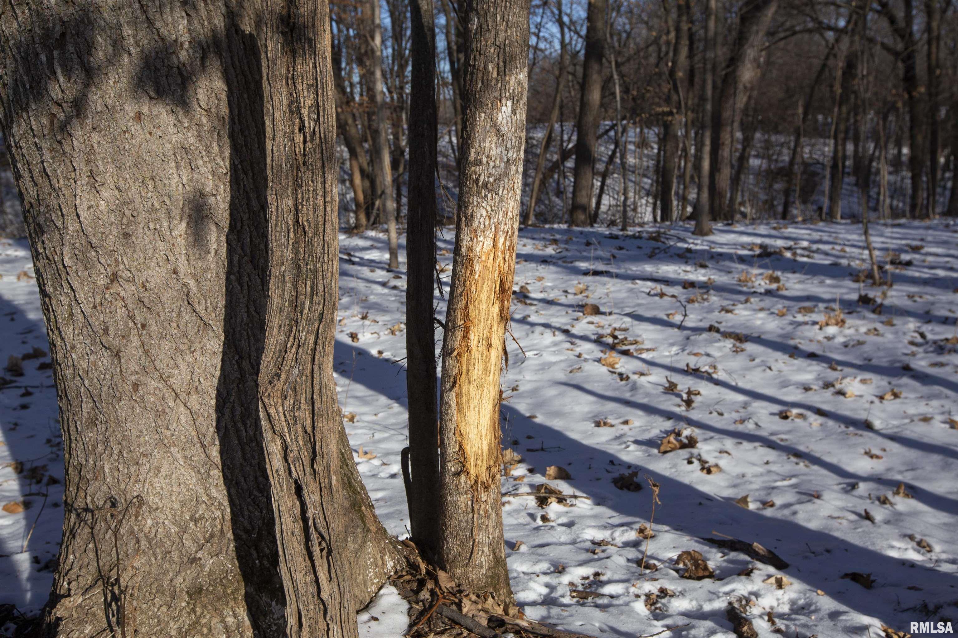 9011 South Powell Road Peoria, IL 61607 - Photo 21 of 34